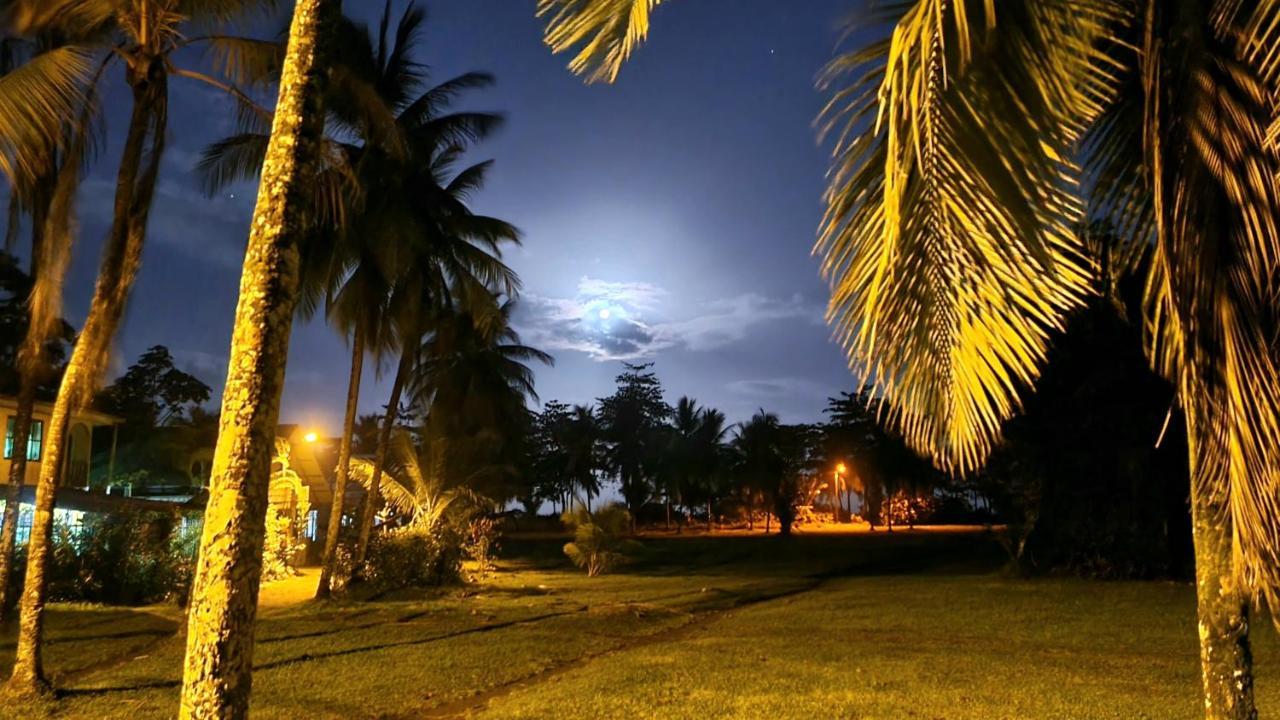 Hotel Wildlife Art House Tortuguero Exterior foto
