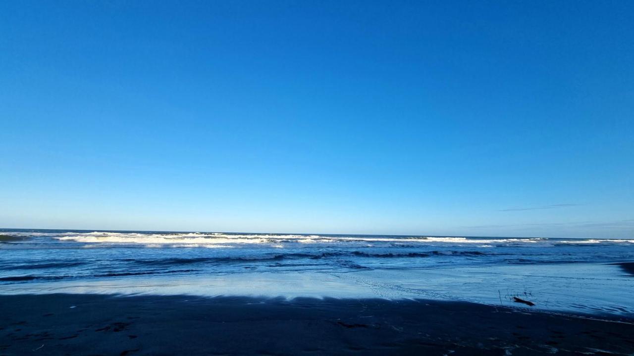 Hotel Wildlife Art House Tortuguero Exterior foto