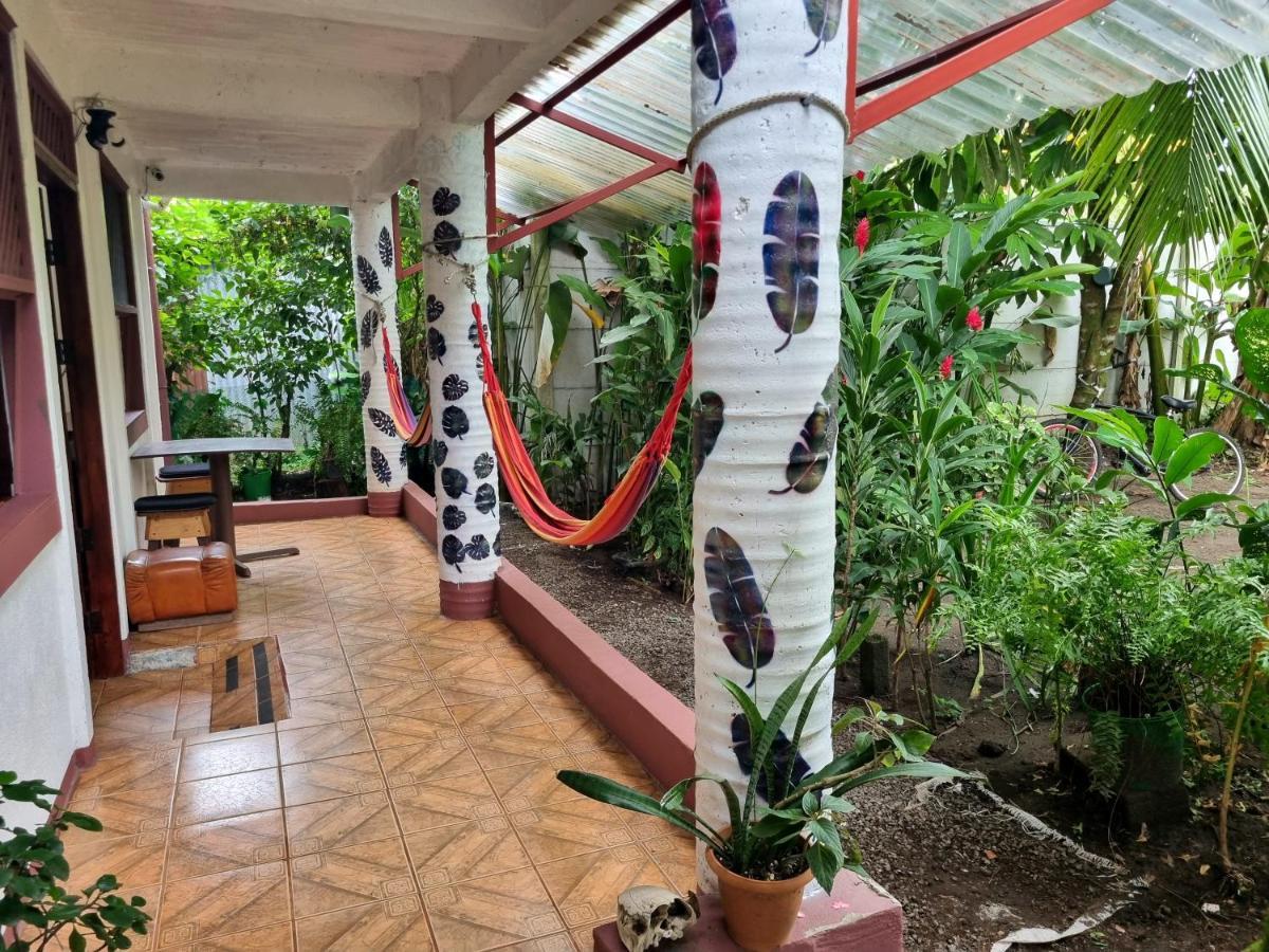 Hotel Wildlife Art House Tortuguero Exterior foto