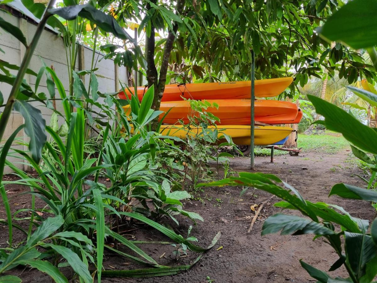 Hotel Wildlife Art House Tortuguero Exterior foto