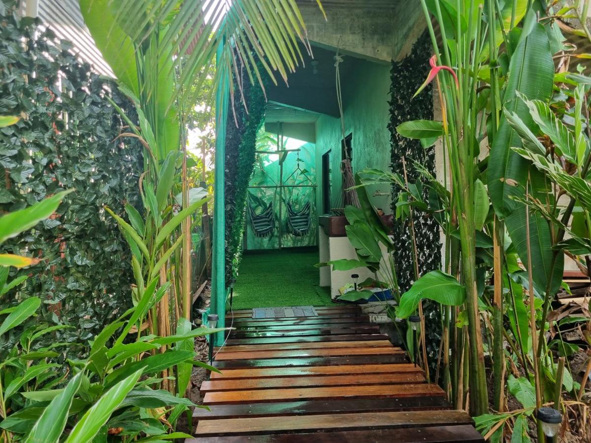 Hotel Wildlife Art House Tortuguero Exterior foto