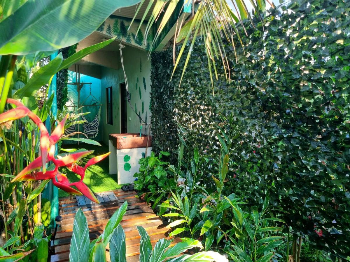 Hotel Wildlife Art House Tortuguero Exterior foto