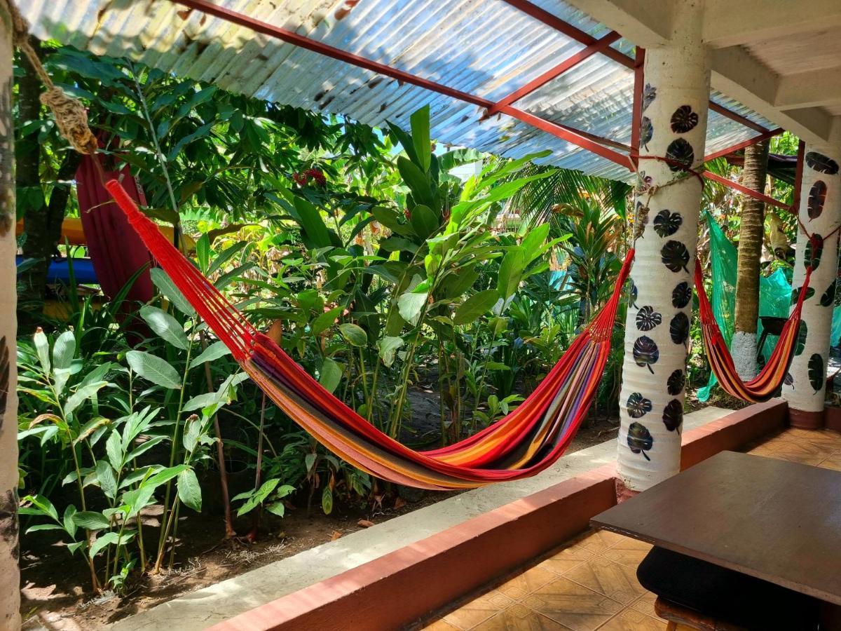 Hotel Wildlife Art House Tortuguero Exterior foto