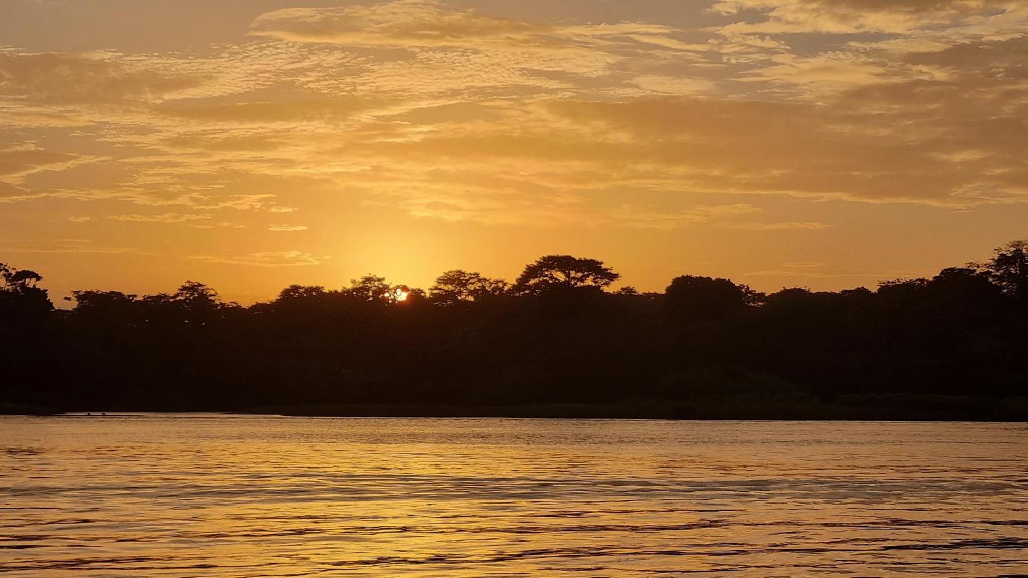 Hotel Wildlife Art House Tortuguero Exterior foto