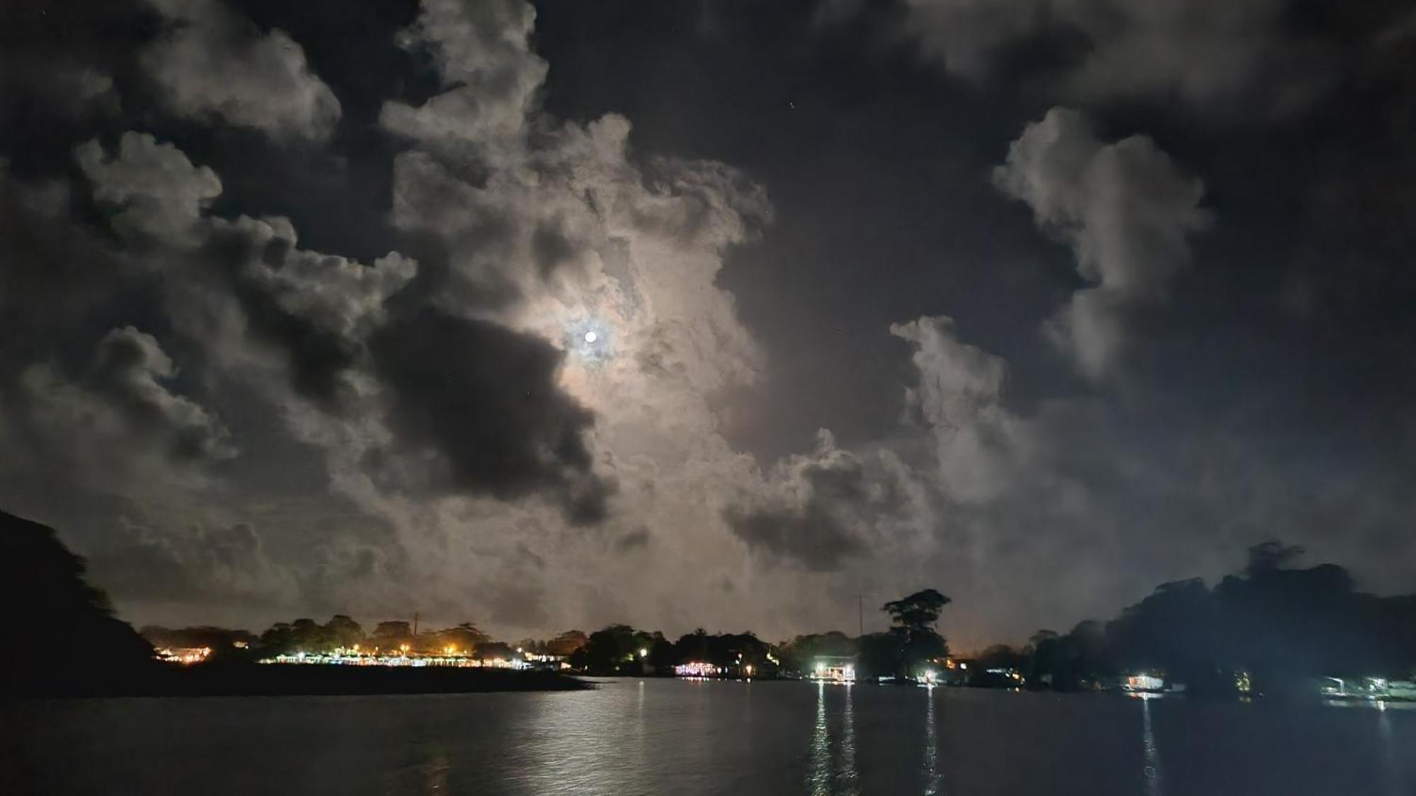Hotel Wildlife Art House Tortuguero Exterior foto